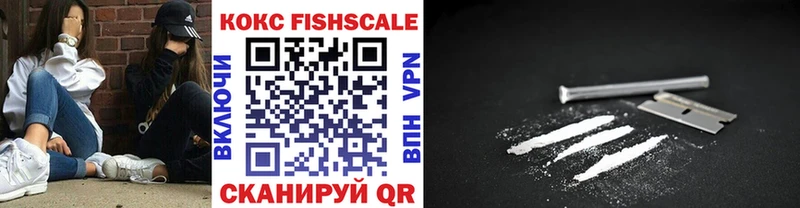 MEGA маркетплейс  Арск  COCAIN Fish Scale  где найти  