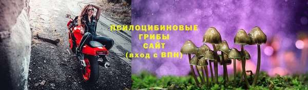 амф Арсеньев