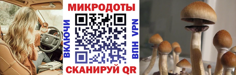 купить закладку  Арск  Галлюциногенные грибы Psilocybine cubensis 